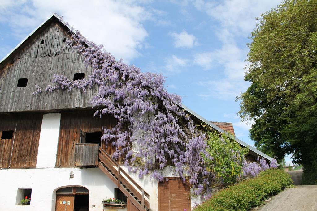 Pension Neuhof Ossiach Exterior photo